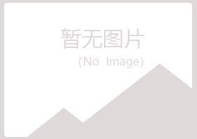 青岛沉沦因特网有限公司